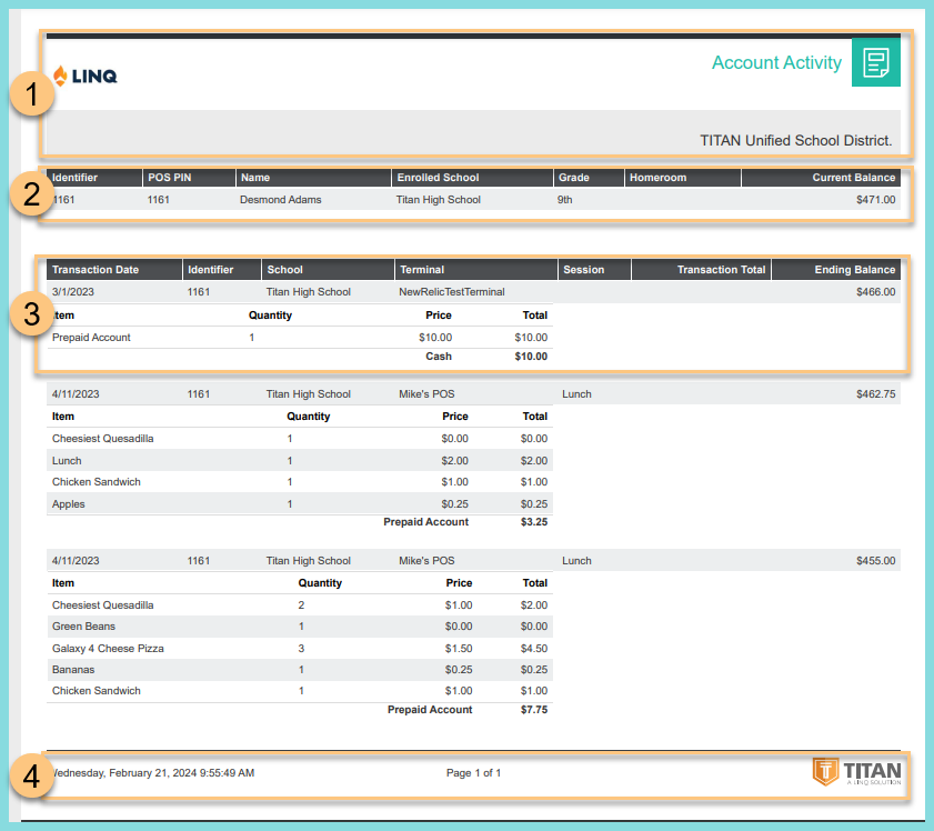 A screenshot of an example Account Activity Report as described on this page.