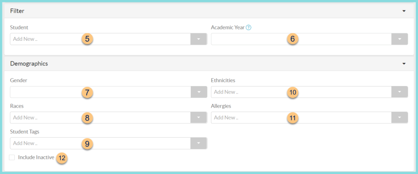 Screenshot of the Filter and Demographics sections of the Application Data Report as described on this page