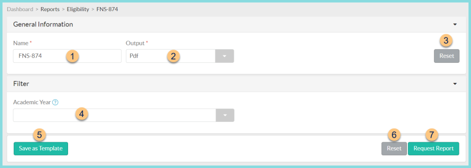 A screenshot of the FNS-874 report configuration screen as described on this page.