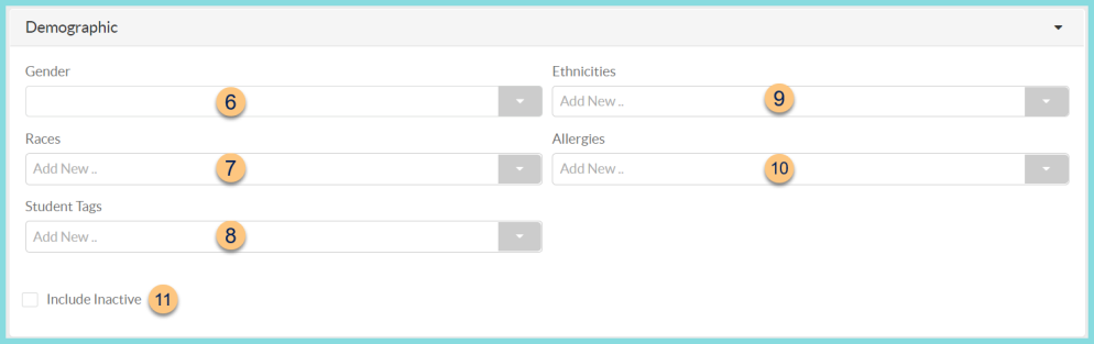 A screenshot of the demographic parameters of the income form data report as described on this page.