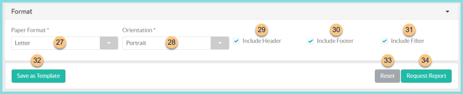 A screenshot of the report format options as described on this page.
