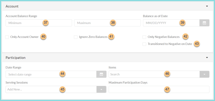 Screenshot of the Account and Participation sections of the Person Data Report as described on this page.