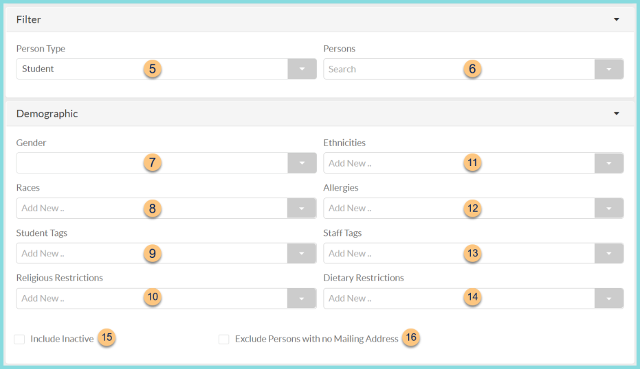 Screenshot of the Filter and Demographic sections of the Person Data Report as described on this page.