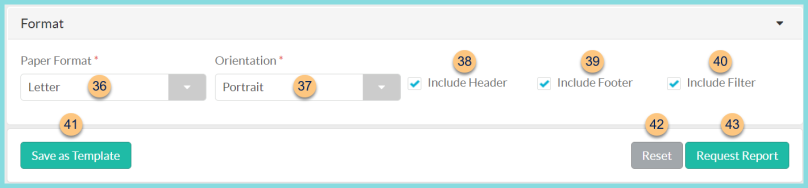 Screenshot of the formatting options for the Transaction Data Report as described on this page.