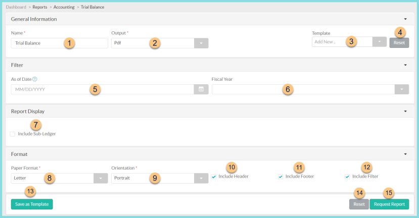A screenshot of the trial balance report configuration screen as described on this page.